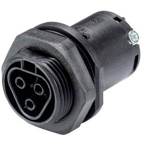 Wieland Electric 99.451.6046.6 Buchsenteil RST® CLASSIC Serie 230 V 3polig