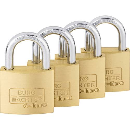 Burg Wächter 4er Set Set Quadro 222 40 SB Vorhängeschloss gleichschließend Messing Schlüsselschloss
