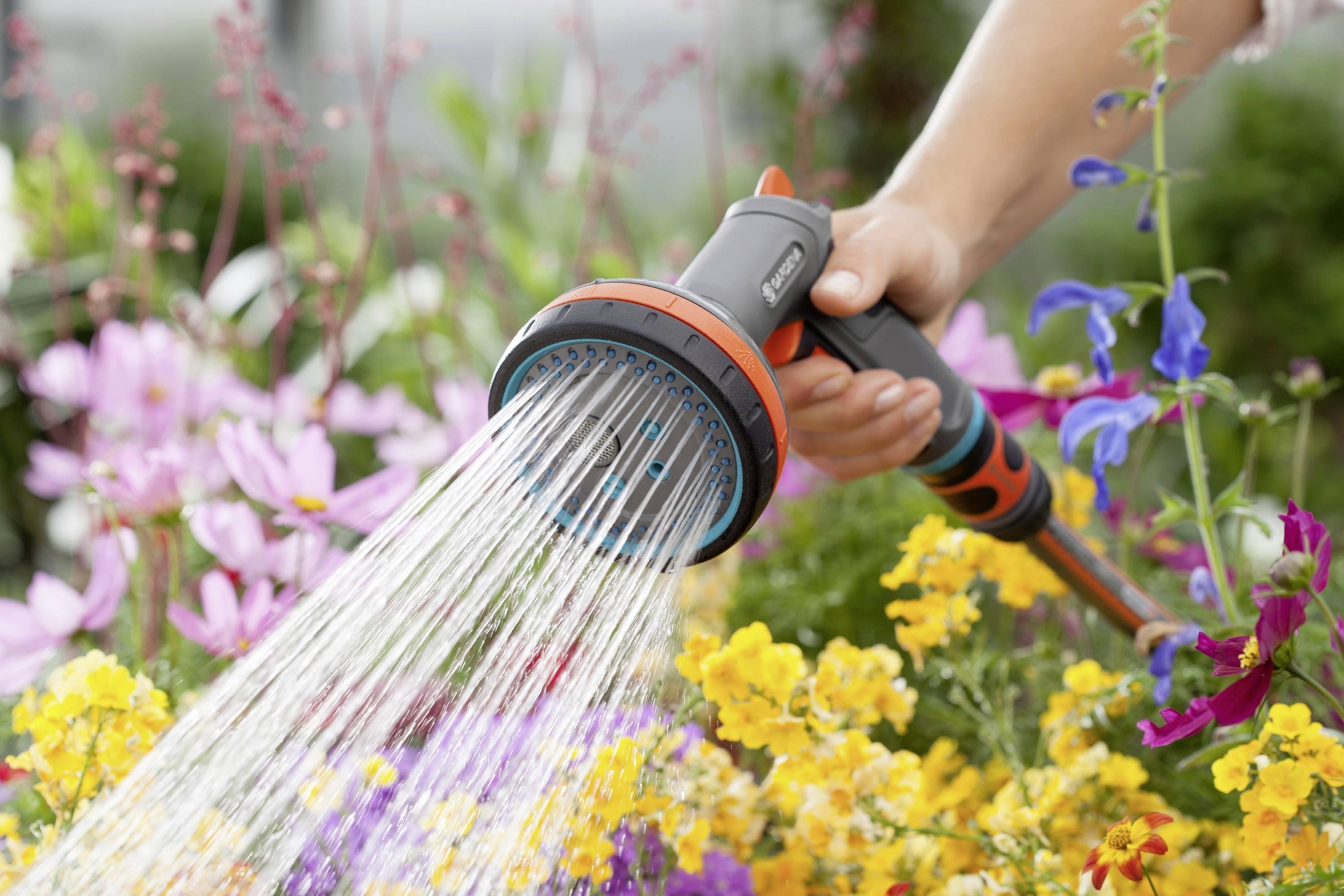 Eine Hand hält einen Gartenschlauch und bewässert bunte Blumen in einem blühenden Garten.