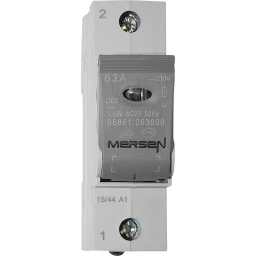 Mersen 05861.063000 Sicherungs-Lasttrennschalter Sicherungsgröße = D02 63 A 400 V 1 St.