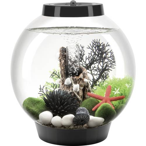 Oase 71999 biOrb CLASSIC 15 LED schwarz Aquarium 15 l mit LED-Beleuchtung