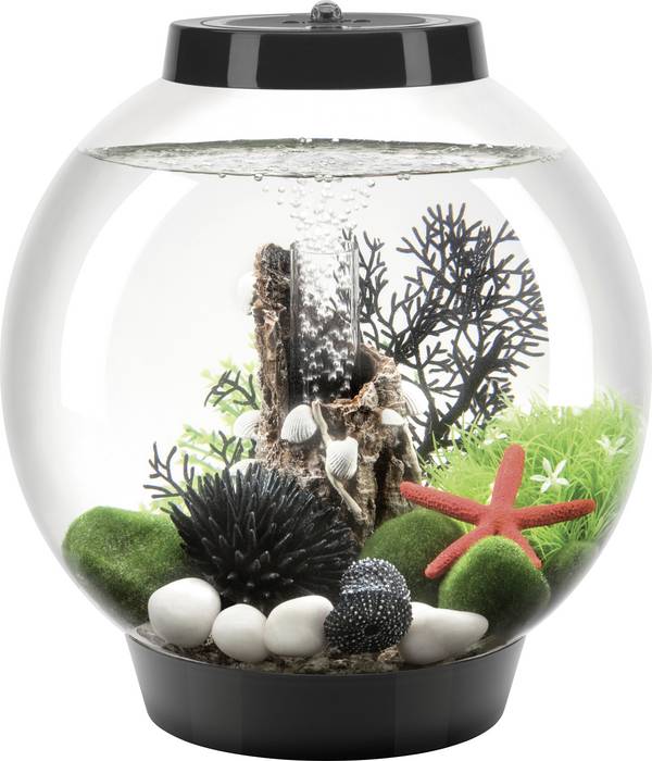 Oase 71999 biOrb CLASSIC 15 LED schwarz Aquarium EEK: G (A - G)  15 l mit LED-Beleuchtung