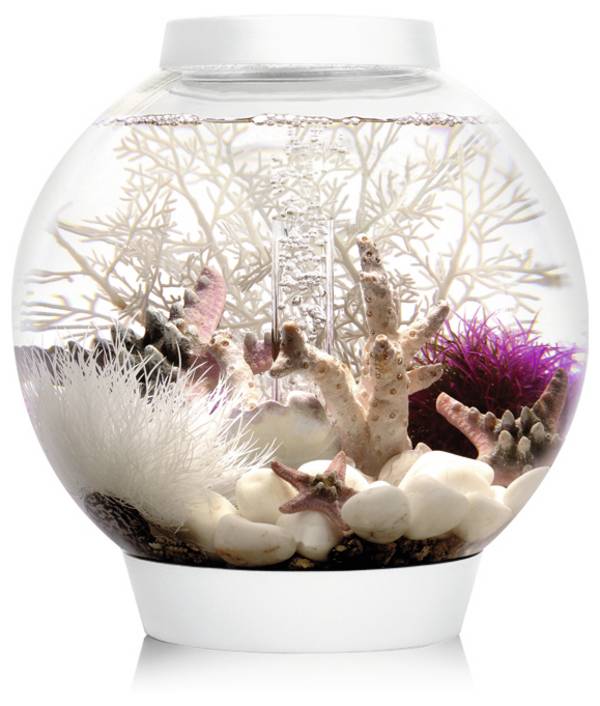 Oase 72001 biOrb CLASSIC 15 LED weiß Aquarium EEK: G (A - G)  15 l mit LED-Beleuchtung