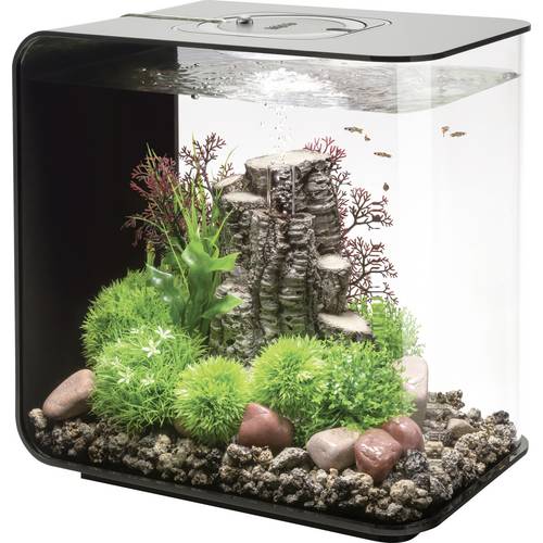 Oase 72033 biOrb FLOW 30 LED schwarz Aquarium 30 l mit LED-Beleuchtung