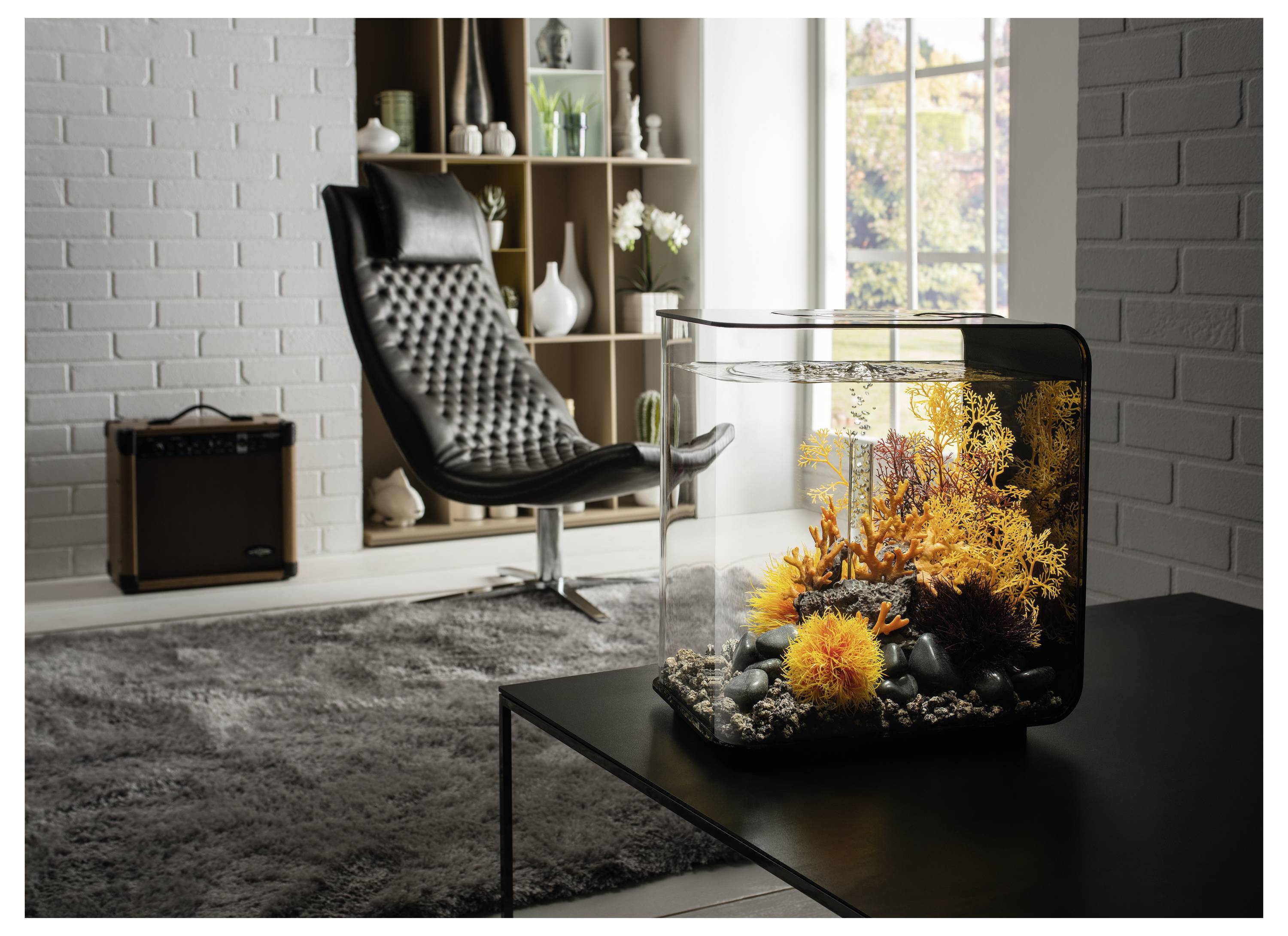 Aquarium mit lebhaftem Korallendekoration und Kieseln auf einem Couchtisch in einem modernen Wohnzimmer, mit einem schwarzen Stuhl und einem Bücherregal.