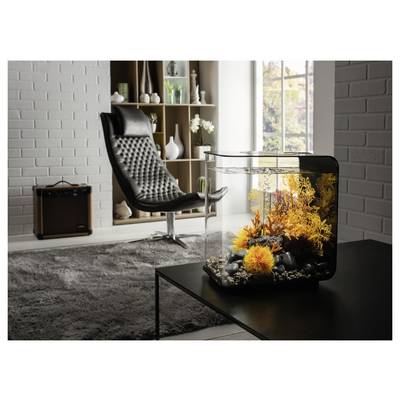 Aquarium mit lebhaftem Korallendekoration und Kieseln auf einem Couchtisch in einem modernen Wohnzimmer, mit einem schwarzen Stuhl und einem Bücherregal.
