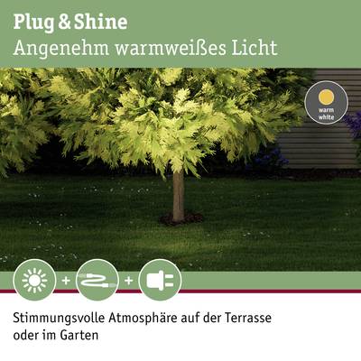 'Plug & Shine: Angenehm warmweißes Licht. Stimmungsvolle Atmosphäre auf der Terrasse oder im Garten.' Baum mit warmweißer Beleuchtung.