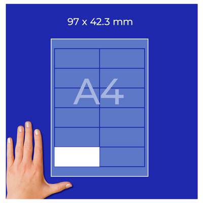 '12' steht in großen blauen Zahlen zentriert auf einem weißen Hintergrund mit blauen Linien, die ein rasterartiges Muster bilden.