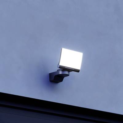 Wandleuchte mit starkem Flutlicht, montiert an einer blauen Wand, spendet helles Licht.