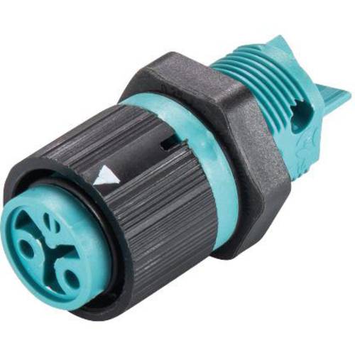 Wieland Electric 46.031.5051.6 Rundstecker Buchse, Einbau Gesamtpolzahl: 2 Serie (Rundsteckverbinder): RST® MINI 1 St.