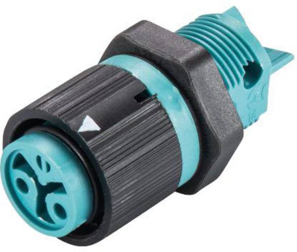 Wieland Electric 46.031.5051.6 Rundstecker Buchse, Einbau Gesamtpolzahl: 2 Serie (Rundsteckverbinder): RST® MINI 1 St.