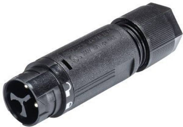 Wieland Electric 46.032.4553.1 Rundstecker Stecker, gerade Gesamtpolzahl: 2 + PE Serie (Rundsteckverbinder): RST® MINI 1 St.