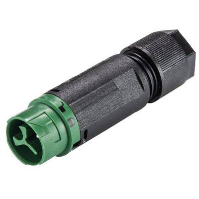 Wieland Electric 46.032.4555.7 Rundstecker Stecker, gerade Gesamtpolzahl: 2 + PE Serie (Rundsteckverbinder): RST® MINI 1