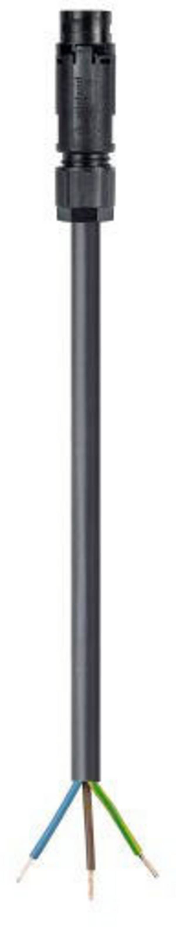 Wieland Electric 46.432.1034.1 Rundstecker Stecker, gerade Gesamtpolzahl: 2 + PE Serie (Rundsteckverbinder): RST® MINI 1 St.