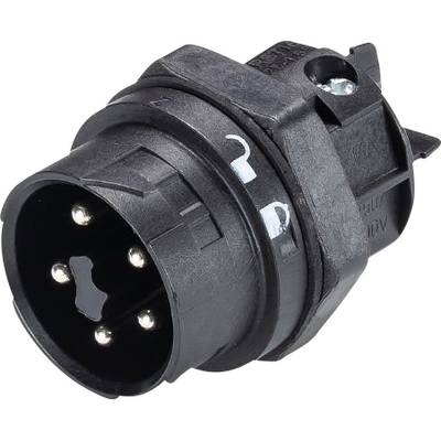 Wieland Electric 46.052.5053.1 Rundstecker Stecker, Einbau Gesamtpolzahl: 4 + PE Serie (Rundsteckverbinder): RST® MINI 1