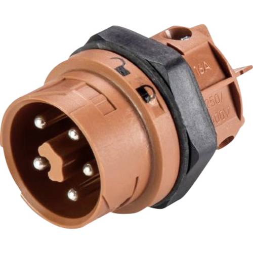 Wieland Electric 46.052.5050.4 Rundstecker Stecker, Einbau Gesamtpolzahl: 5 Serie (Rundsteckverbinder): RST® MINI 1 St.