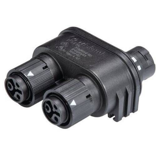 Wieland Electric 46.030.1253.1 Rundstecker Verteiler Gesamtpolzahl: 2 + PE Serie (Rundsteckverbinder): RST® MINI 1 St.