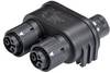 Wieland Electric 46.030.1253.1 Rundstecker Verteiler Leitungsverbinder Gesamtpolzahl: 2 + PE Serie (Rundsteckverbinder): RST® MINI Piece 1 St.