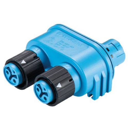 Wieland Electric 46.030.1254.9 Rundstecker Verteiler Gesamtpolzahl: 2 Serie (Rundsteckverbinder): RST® MINI 1 St.