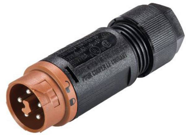 Wieland Electric 46.052.4550.4 Rundstecker Stecker, gerade Gesamtpolzahl: 5 Serie (Rundsteckverbinder): RST® MINI 1 St.