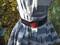 Ein blau-weiß gestreiftes Kleid mit einem schwarzen Gürtel, der ein rotes Detail hat. Im Hintergrund sind herbstliche Blätter sichtbar.