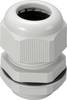 TRU COMPONENTS 1593311 Kabelverschraubung M12 Polyamid Lichtgrau (RAL 7035) 1 St.