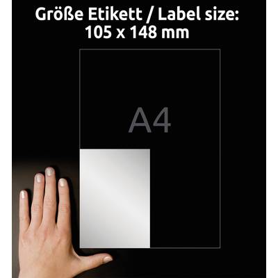 Eine Hand neben einem A4-Blatt, das den Etikettgrößenvergleich zeigt: 105 x 148 mm. Text: 'Größe Etikett / Label size: 105 x 148 mm'.