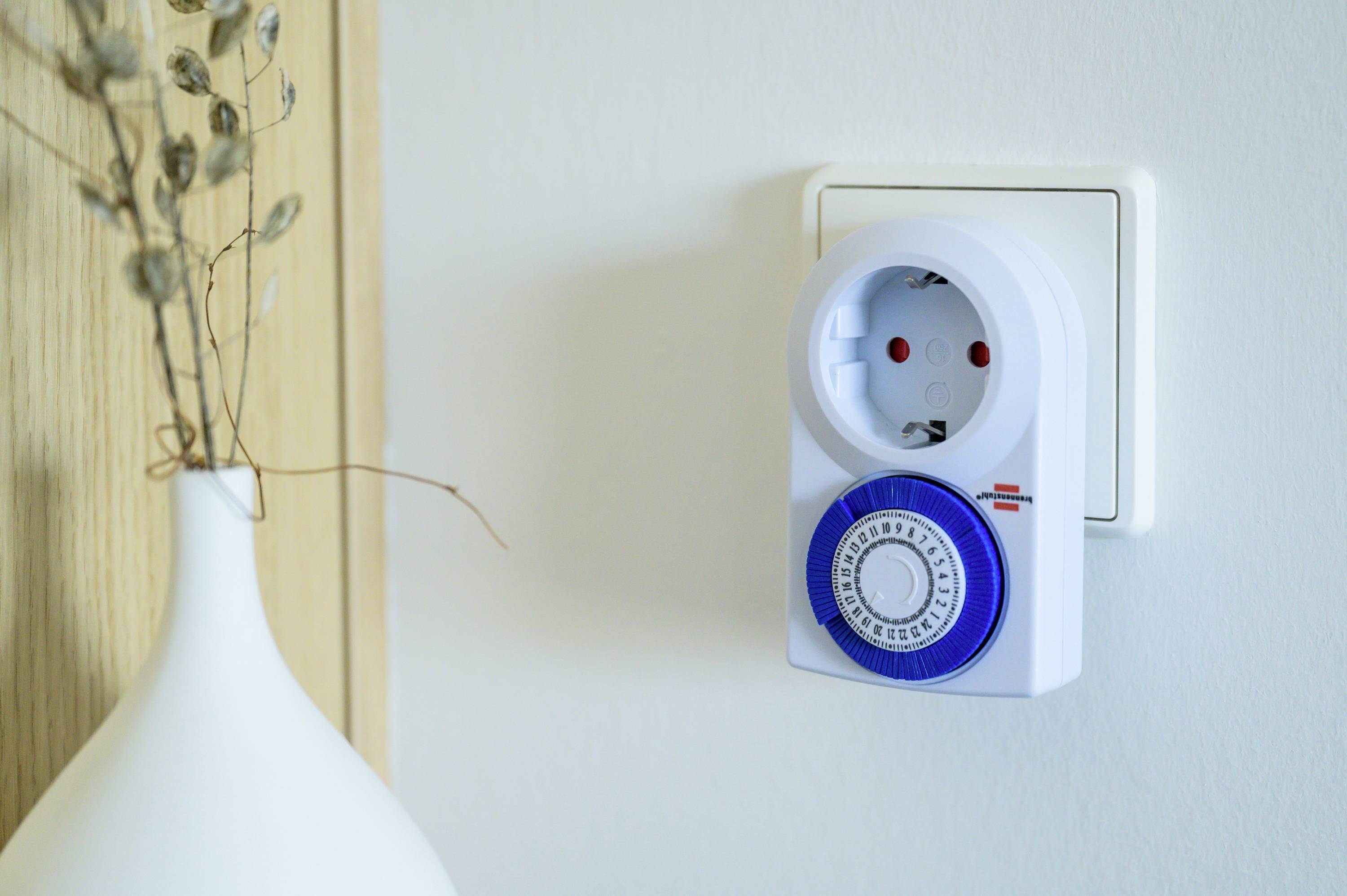 Elektrische Zeitschaltuhr in einer Steckdose an der Wand, daneben eine weiße Vase mit getrockneten Pflanzen.