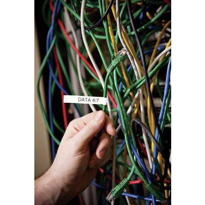 Eine Hand hält ein Kabel, beschriftet mit 'DATA 4/7', inmitten eines Bündels verschiedenfarbiger Netzwerkdrähte.