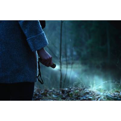 Eine Person beleuchtet mit einer Taschenlampe einen dunklen Wald, der Nebel ist leicht sichtbar und erzeugt eine geheimnisvolle Atmosphäre.