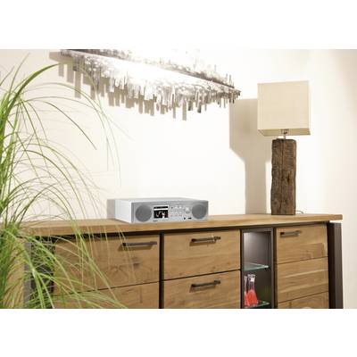 Radio auf einer Holzkommode in einem modern eingerichteten Raum mit Zimmerpflanze, Lampe und abstraktem Kunstwerk an der Wand.