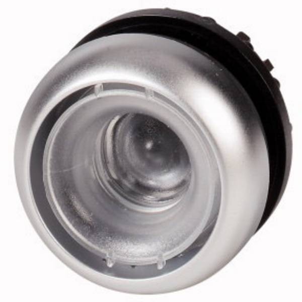 Eaton 216602 M22-D-X Drucktaster flach, rund Stößel Schwarz 1 St. Piece