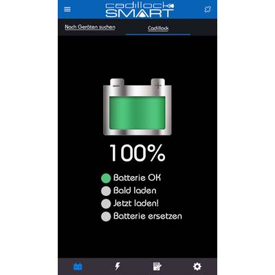 Cadillock Smart Batterieüberwachung 6 V, 12 V, 24 V Ladeüberwachung, Batterieprüfung, Kontrolle Lichtmaschine, Spannungs-3