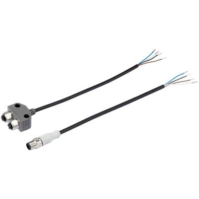 Ein Y-Kabel mit einem doppelten Stecker an einem Ende und einem einzelnen Stecker am anderen Ende, geeignet für elektrische Verbindungen.