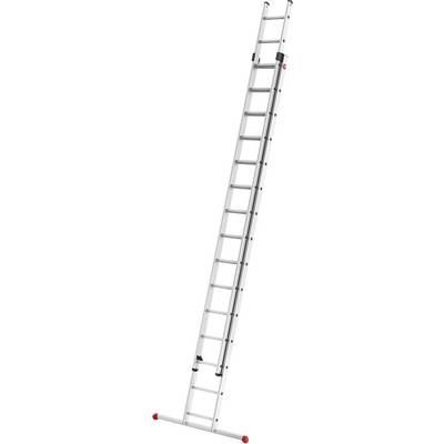 Eine lange silberne Anlegeleiter mit mehreren Sprossen, geeignet für Arbeiten in der Höhe.