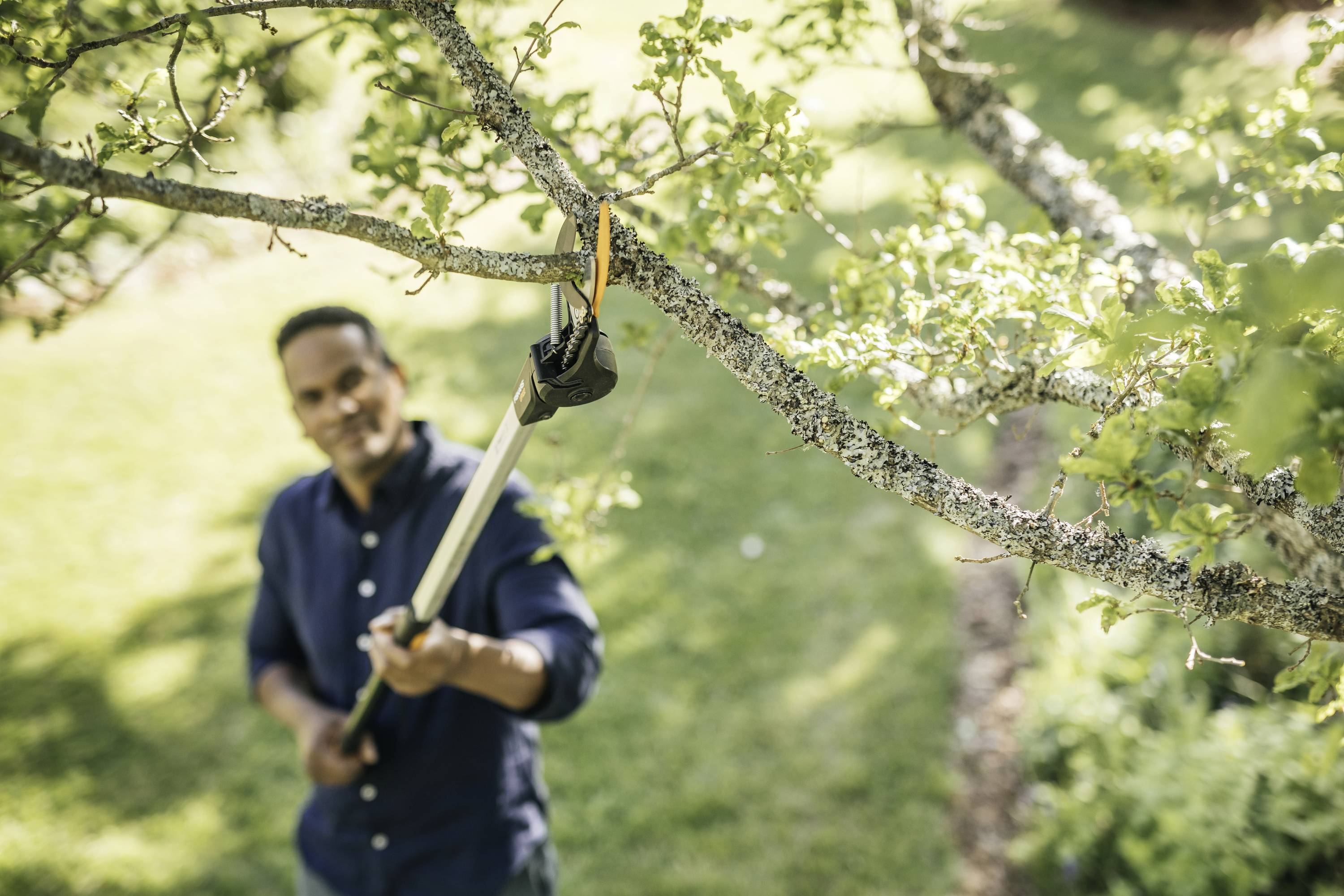 Ein Mann schneidet mit einer Teleskopschere Äste in einem Garten. Er trägt ein dunkelblaues Hemd und konzentriert sich auf seine Arbeit.