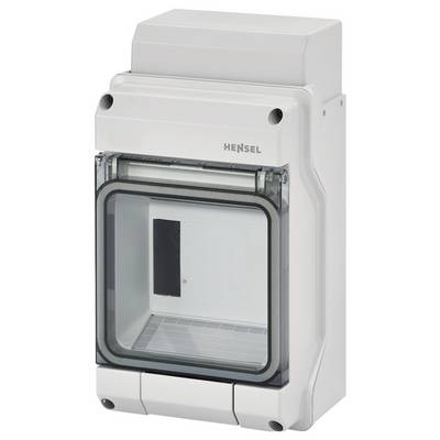Ein graues, rechteckiges Elektronikgehäuse mit transparentem vorderen Deckel. Markiert mit 'Hensel'. Geeignet für den Schutz von Elektronikbauteilen.