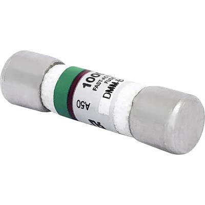 Kleine Glassicherung mit der Aufschrift '100 mA Fast Acting Fuse'. Sie hat Metallkappen an beiden Enden und einen grünen Streifen in der Mitte.