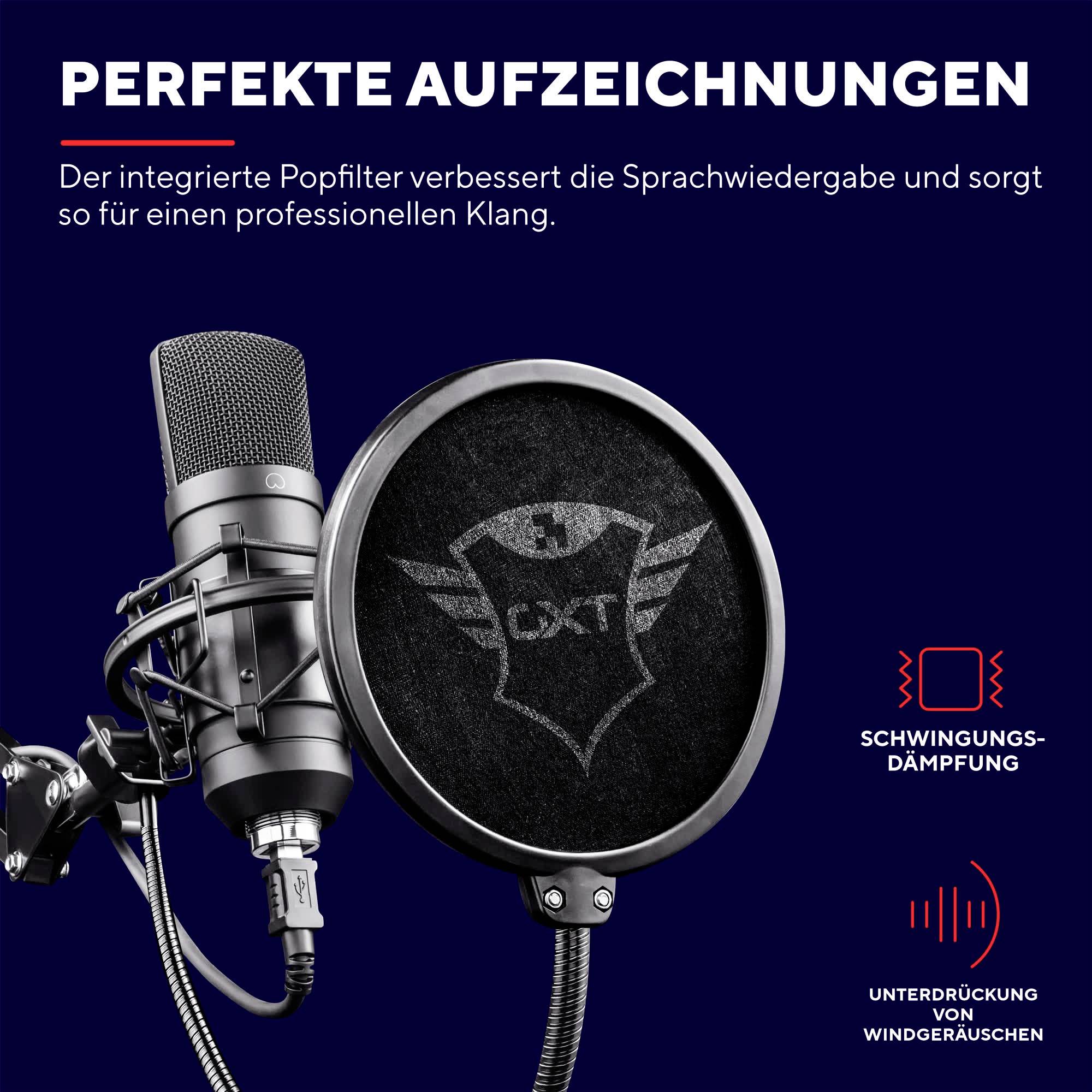 Ein Mikrofon mit Popfilter, der die Sprachwiedergabe verbessert. Text: 'Perfekte Aufzeichnungen'. Symbole für Schwingungsdämpfung und Windgeräuschunterdrückung.