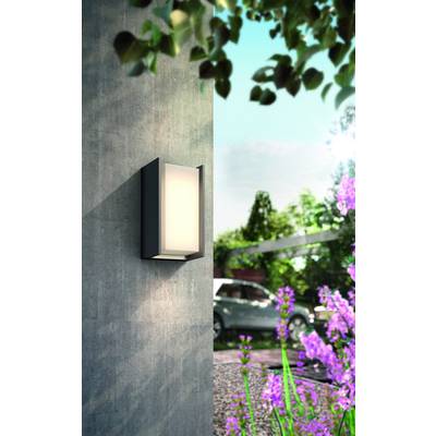 Moderne Außenleuchte an einer Betonwand, leuchtet tagsüber. Im Hintergrund blühende Blumen und ein Auto im Garten.