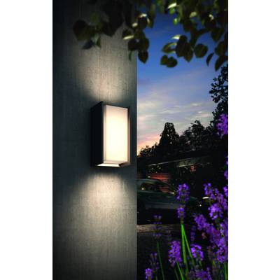Außenleuchte an einer Wand, bei Dämmerung, umgeben von lila Blumen. Im Hintergrund ist leicht beleuchtete Vegetation und ein Auto erkennbar.