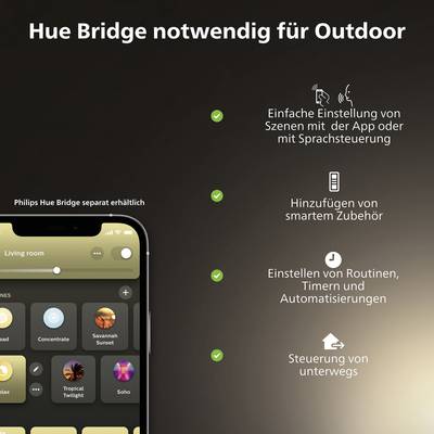 Ein Smartphone zeigt die Philips Hue App mit verschiedenen Szenen. Text beschreibt Funktionen wie Sprachsteuerung und Fernsteuerung.