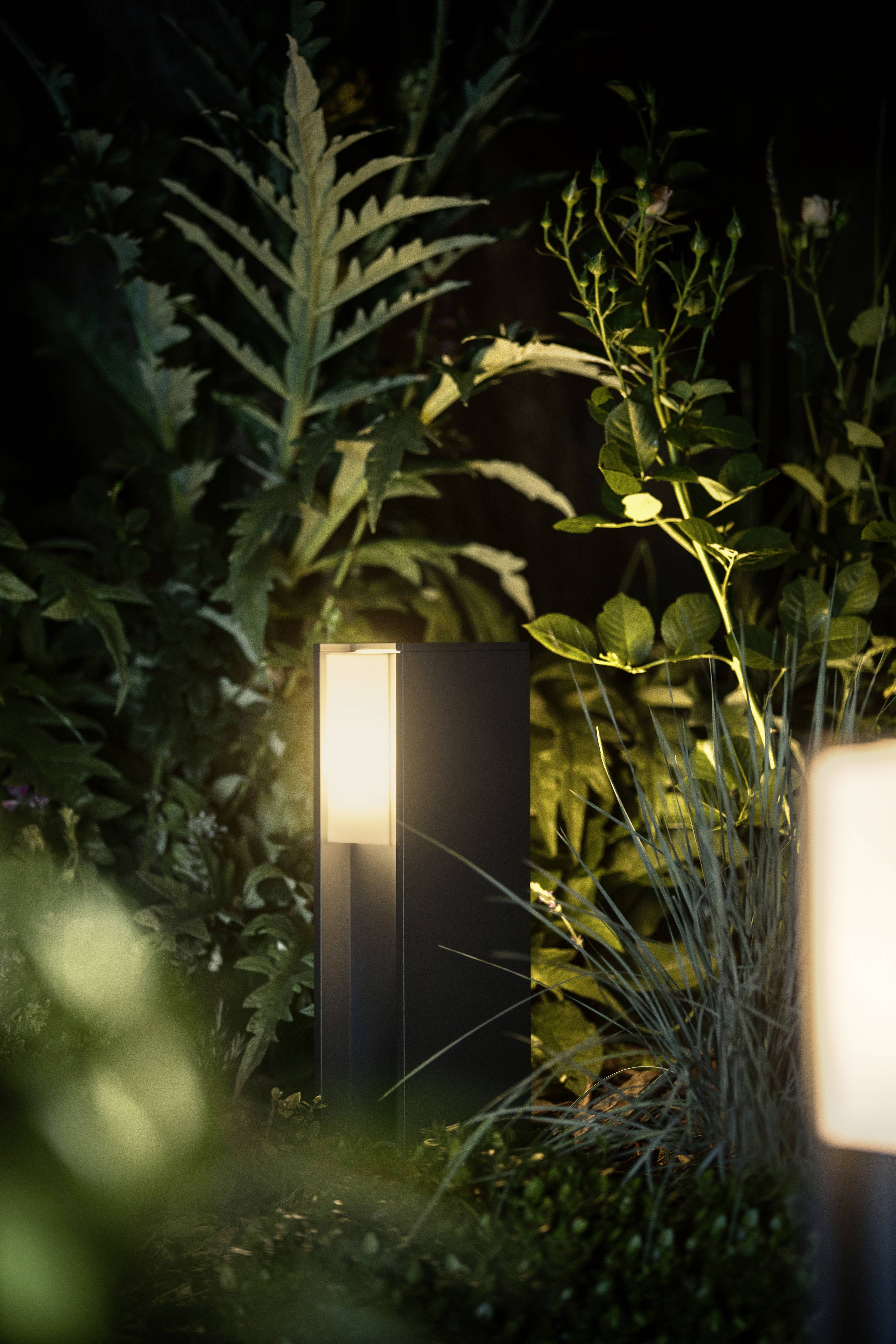 Eine moderne Gartenleuchte strahlt warmes Licht aus und beleuchtet umgebende Pflanzen in einem nächtlichen Gartenumfeld.