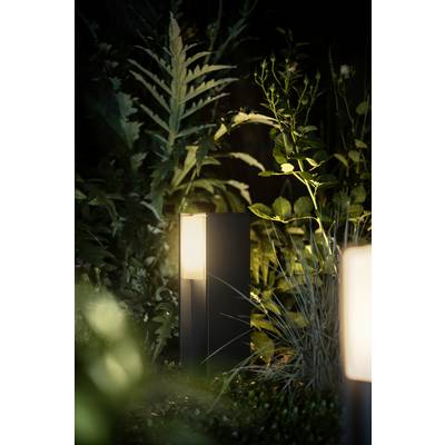 Eine moderne Gartenleuchte strahlt warmes Licht aus und beleuchtet umgebende Pflanzen in einem nächtlichen Gartenumfeld.