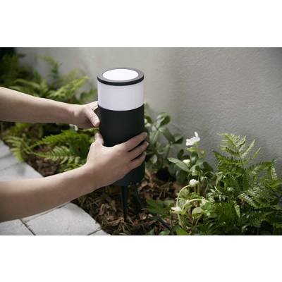 Zwei Hände platzieren eine Gartenleuchte im Beet. Die Leuchte ist rund und schwarz-weiß. Umgeben von Farnen und einer weißen Blume.