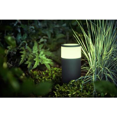 Eine leuchtende Gartenlampe steht inmitten von grüner Vegetation und Gras, beleuchtet sanft die Umgebung in einem abendlichen Garten.