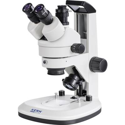 Ein weißes Mikroskop mit zwei Okularen und mehreren Einstellungsmöglichkeiten, geeignet für präzise wissenschaftliche Beobachtungen.