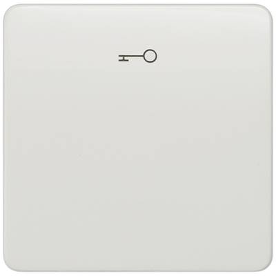Lichtschalter mit einem kleinen Schlüsselsymbol in der Mitte, möglicherweise für eine spezifische Funktion oder Raumsteuerung.