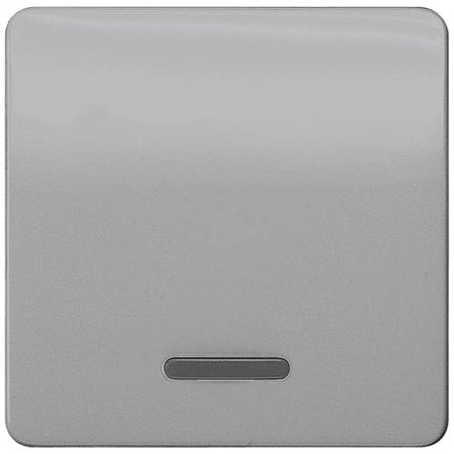 Siemens Schalterprogramm 1fach Silber 5TG7920 1 St.