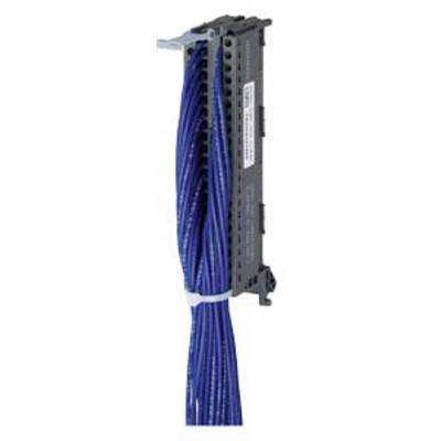 Helles Gehäuse mit blauen Kabeln, vertikal angeordnet. Veranschaulicht eine Verbindungseinheit oder Verteilerbox für elektrische Kabel.